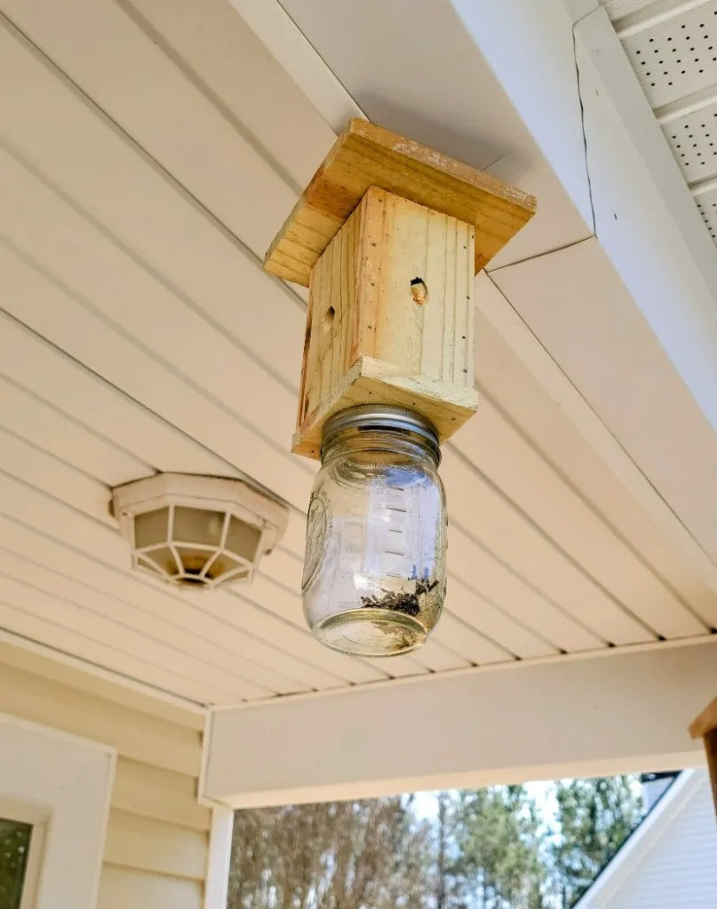 Carpenter Bee Trap