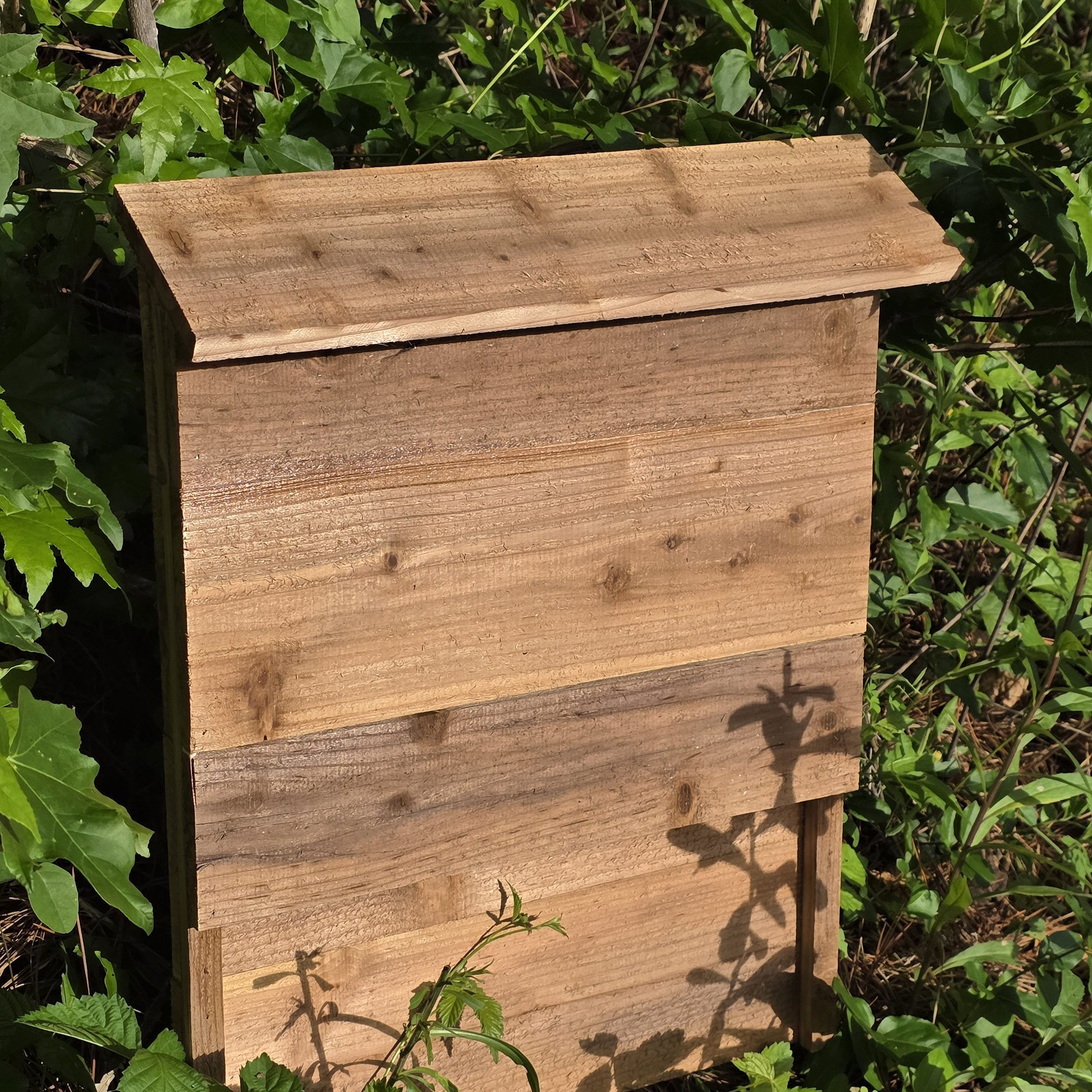 Bat Roost Box