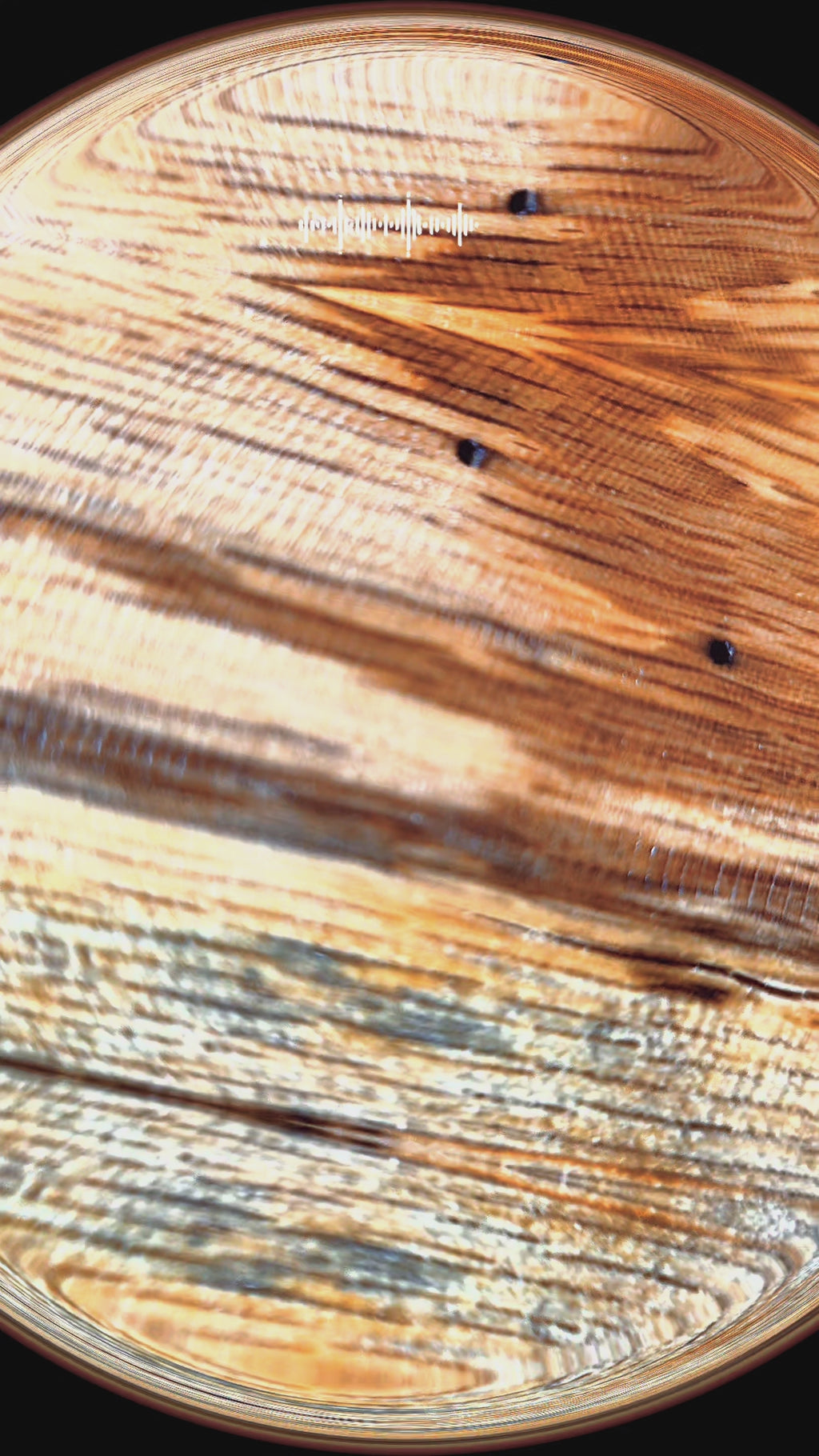 Tree Stump Cookie Table